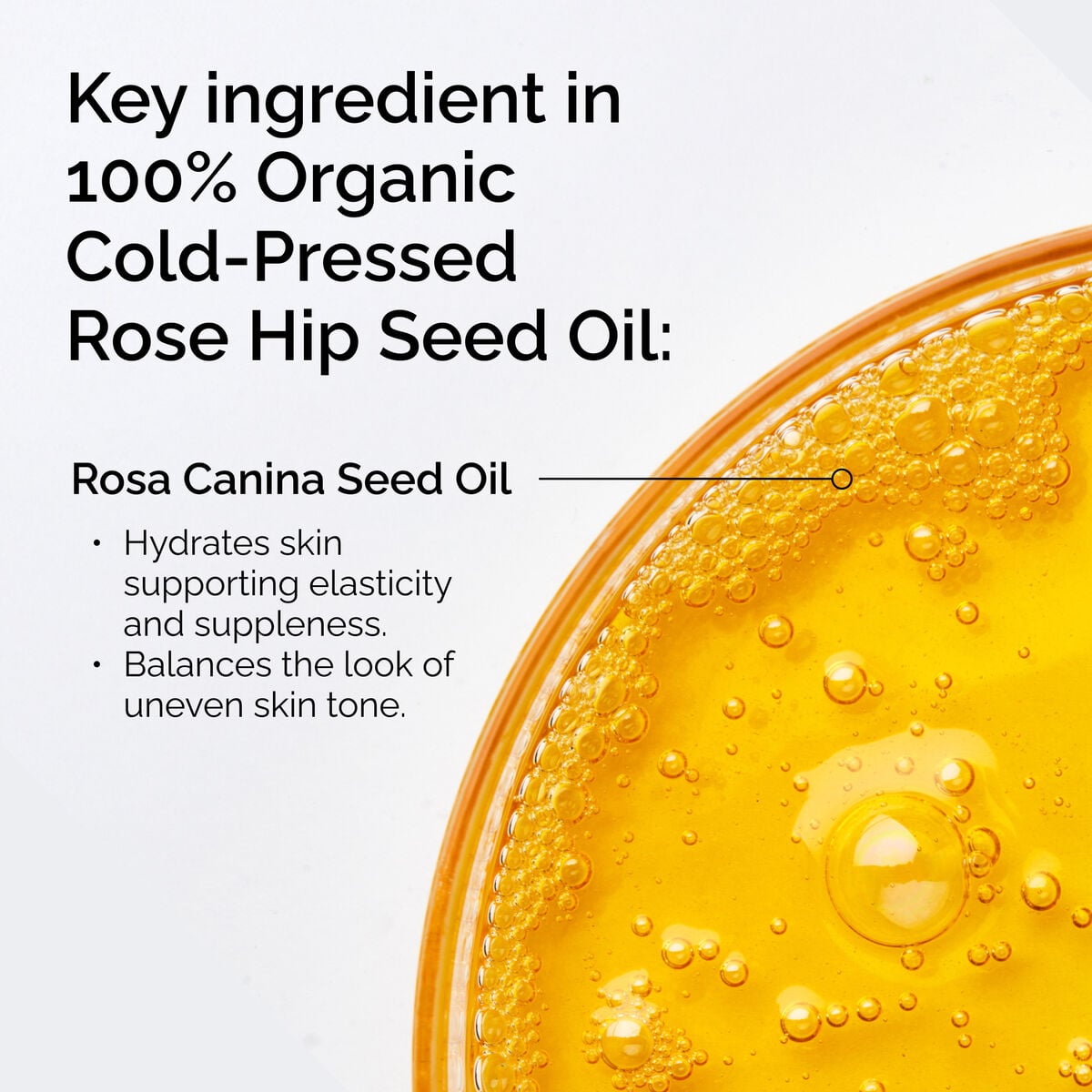 100-organic-cold-pressed-rose-hip-seed-oil-u3 FY25-D41247-ORD-Web-PDP-100-Rose-Hip-Oil-1x1-EN-2.jpg
