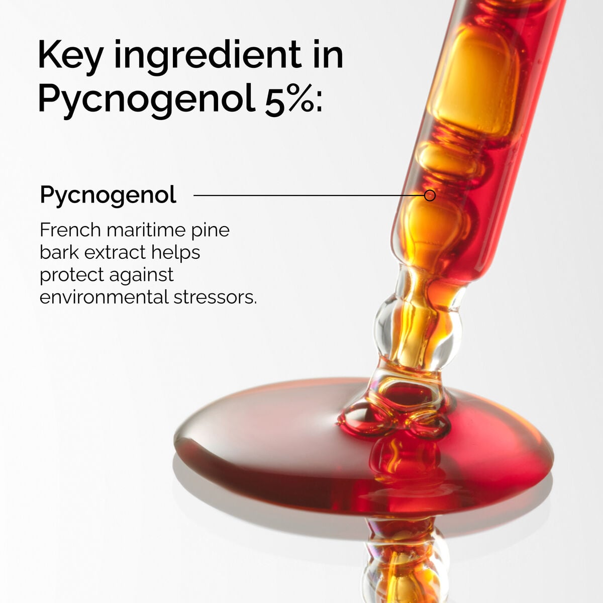 pycnogenol-5-r4 FY25-D41247-ORD-Web-PDP-Pyc-5pct-1x1-EN-2a.jpg