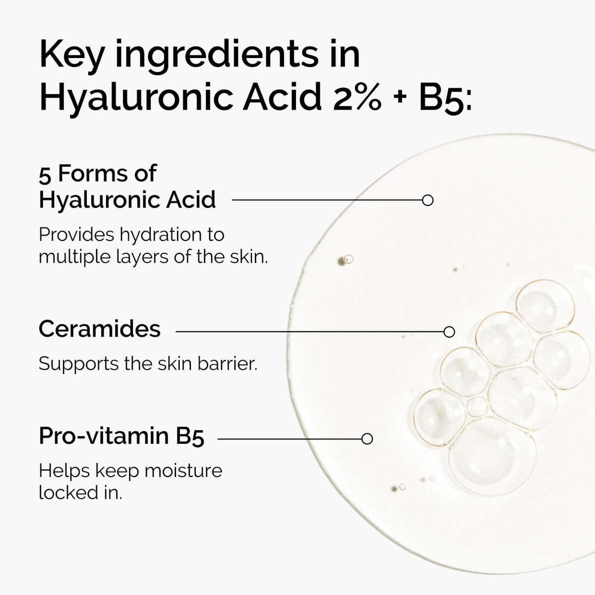 hyaluronic-acid-2-b5-with-ceramides-m7 ord-hyaluronic-acid-2pct-b5-hydrating-serum-ingredients-graphic.jpg