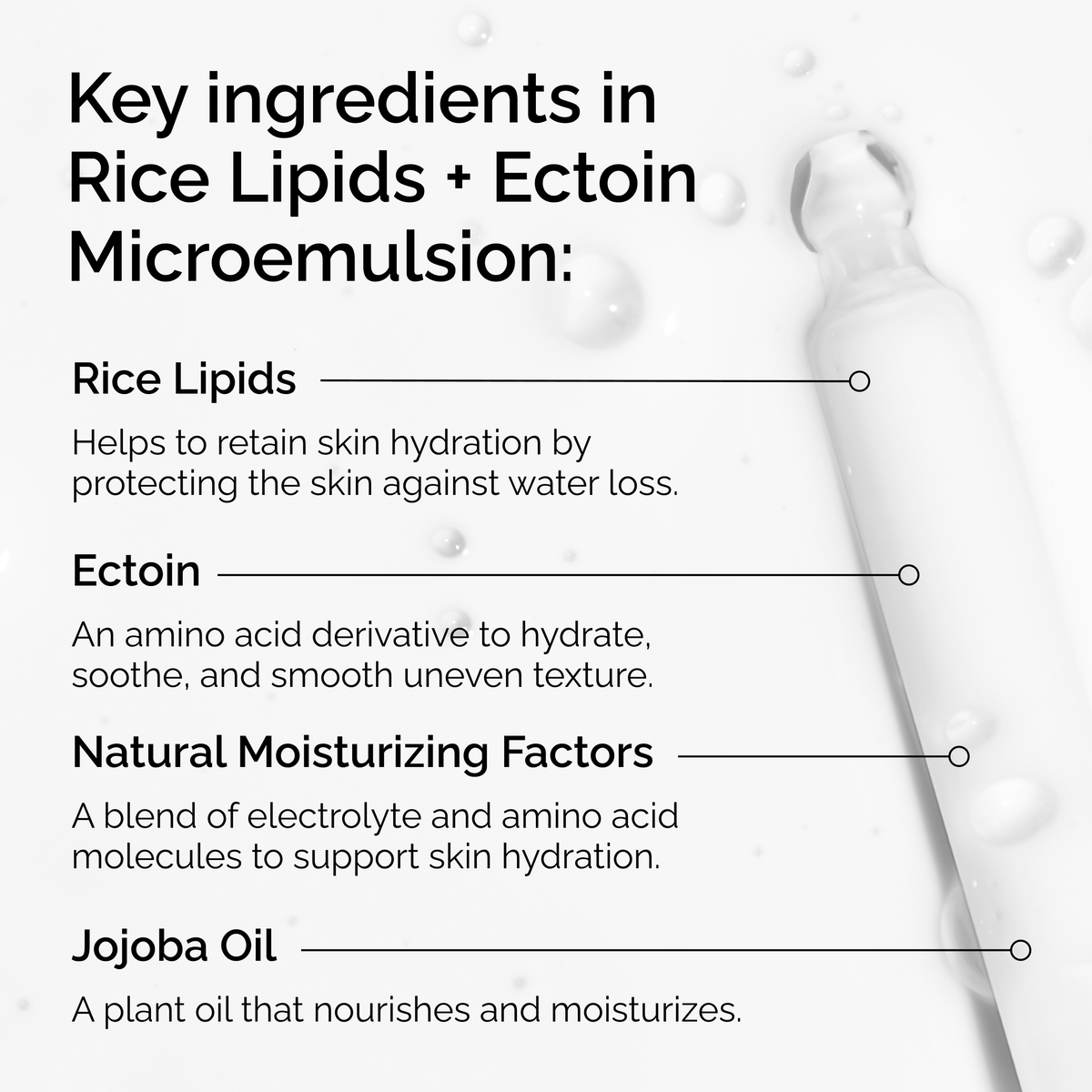 rice-lipids-ectoin-microemulsion-y5 ord-rice-lipids-ectoin-microemulsion-key-ingredients.png