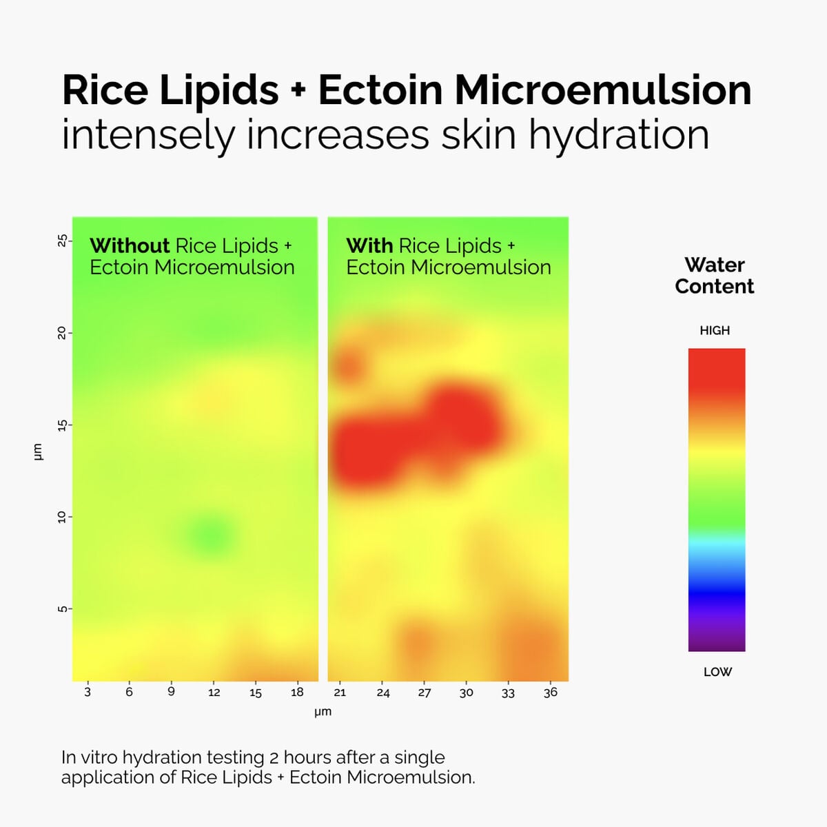 rice-lipids-ectoin-microemulsion-y5 ord-rice-lipids-ectoin-microemulsion-thermal-before-after.jpg